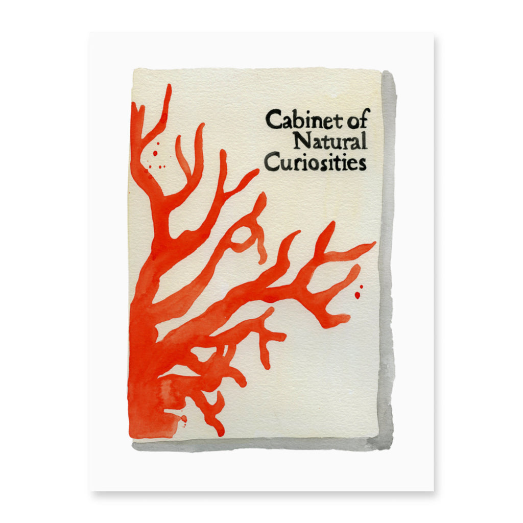 Cabinet of Natural Curiosities Book - Furbish Studio,  An unframed Cabinet of Natural Curiosities matchbook watercolor print with tree branches painted in orange and a dirty white background 