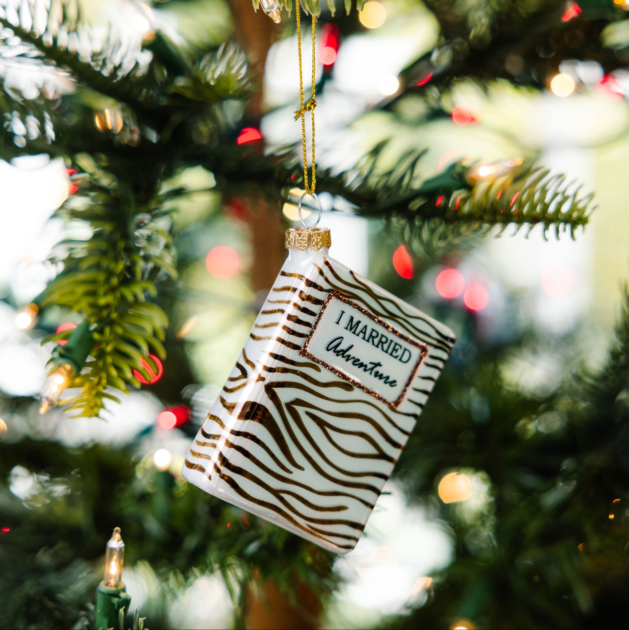 I Married Adventure Ornament