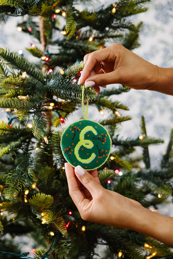 Hand holding a green ornament with a letter 'E' on a decorated Christmas tree.