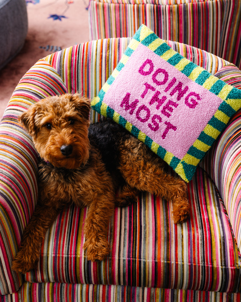 Dog lying on a colorful striped chair with a pillow that says 'Doing the most'.