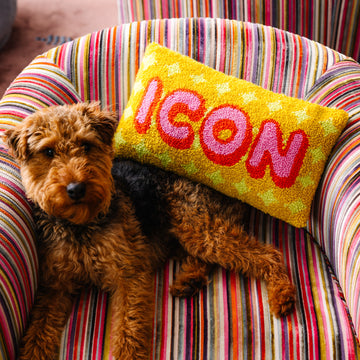 Dog lying on a colorful striped chair with a pillow that says 'ICON'.