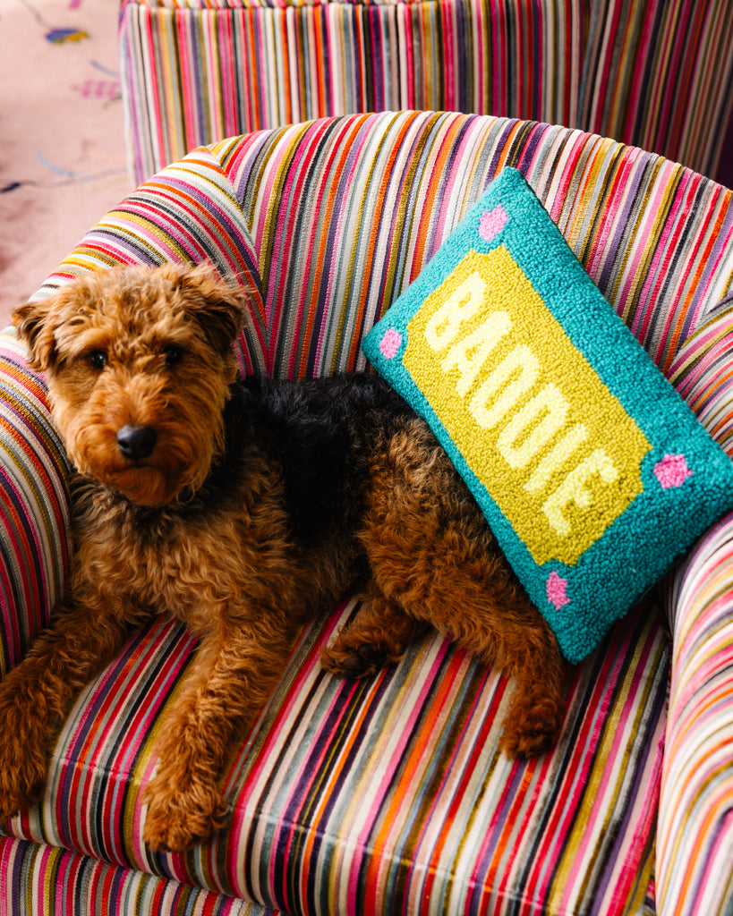 Dog sitting on a colorful striped chair with a pillow labeled 'Baddie'