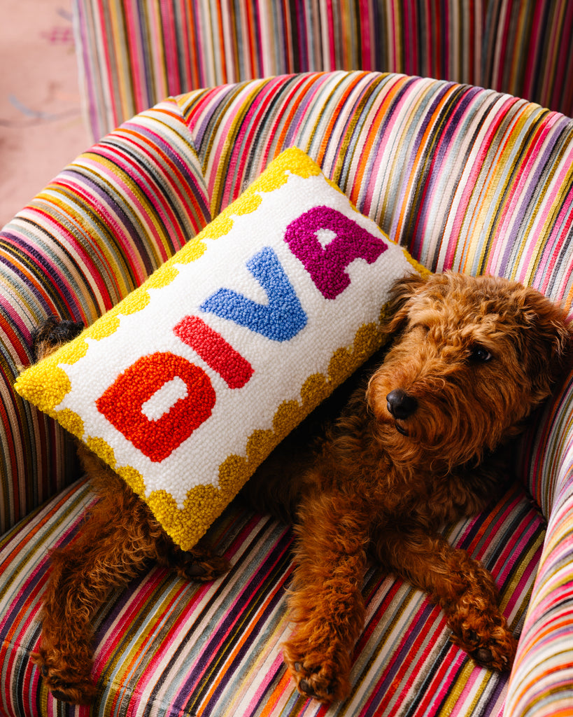 Dog lying on a colorful striped chair with a 'DIVA' pillow