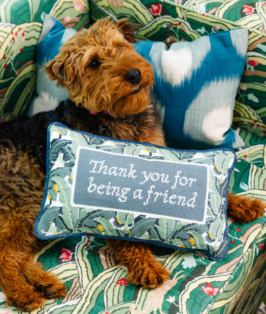 Dog sitting on a couch with a decorative pillow that says 'Thank you for being a friend'.