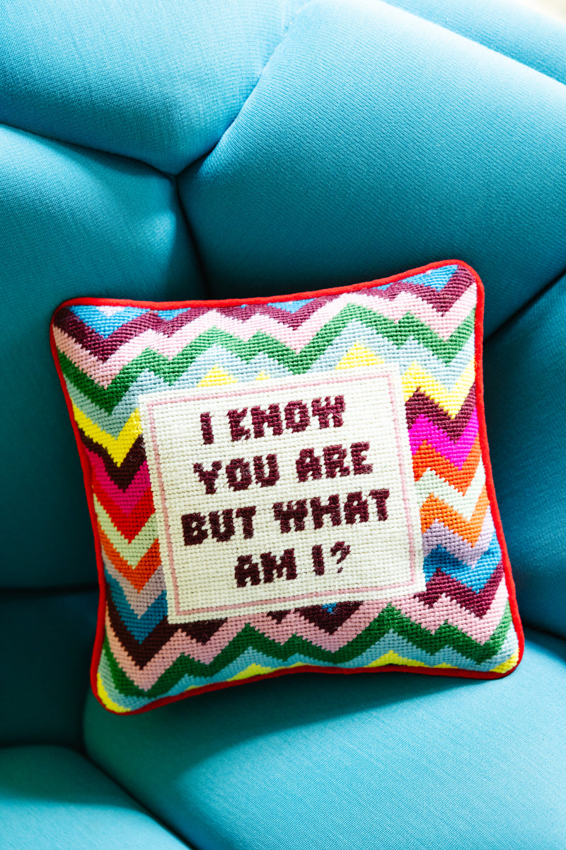 "But What Am I" Needlepoint Pillow