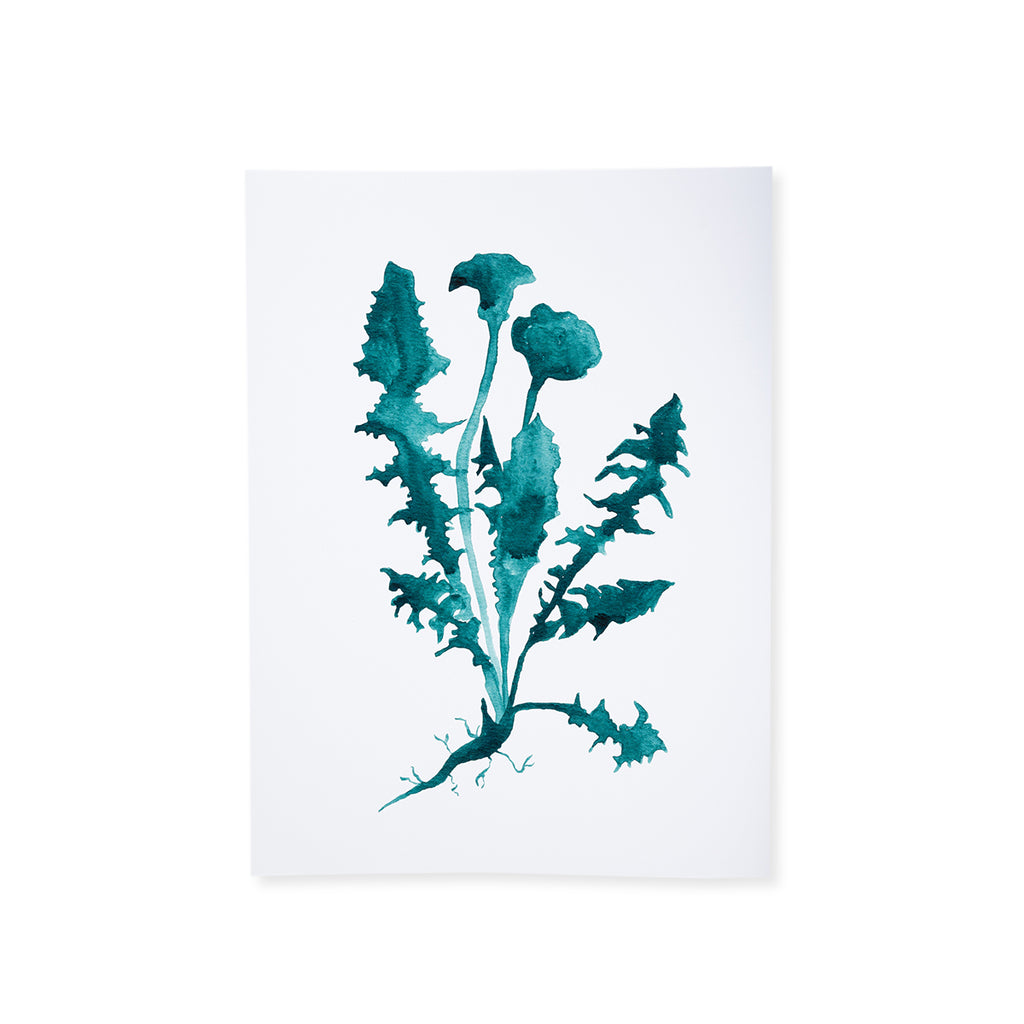 Botanical Print - Green - Furbish Studio