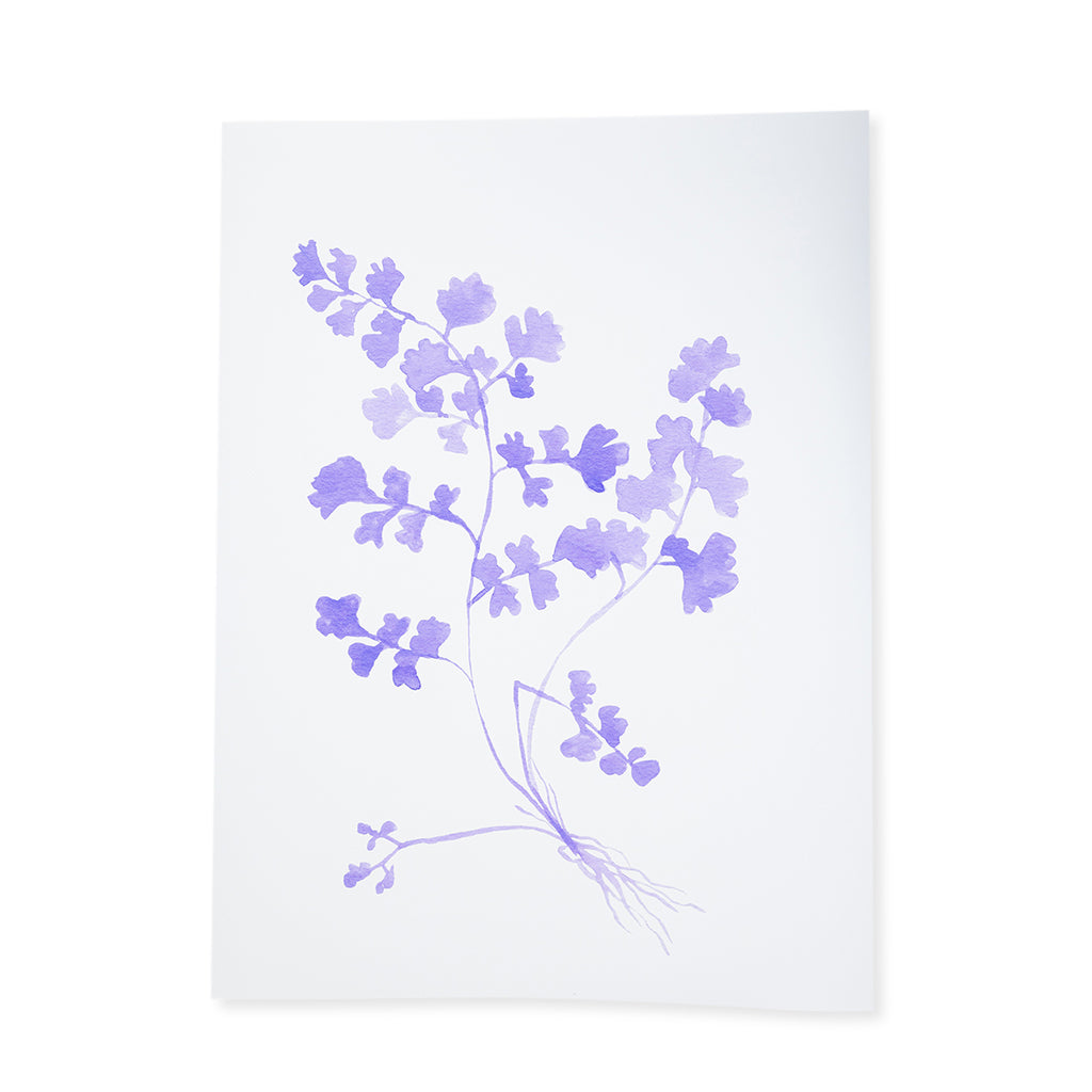 Botanical Print - Lilac - Furbish Studio
