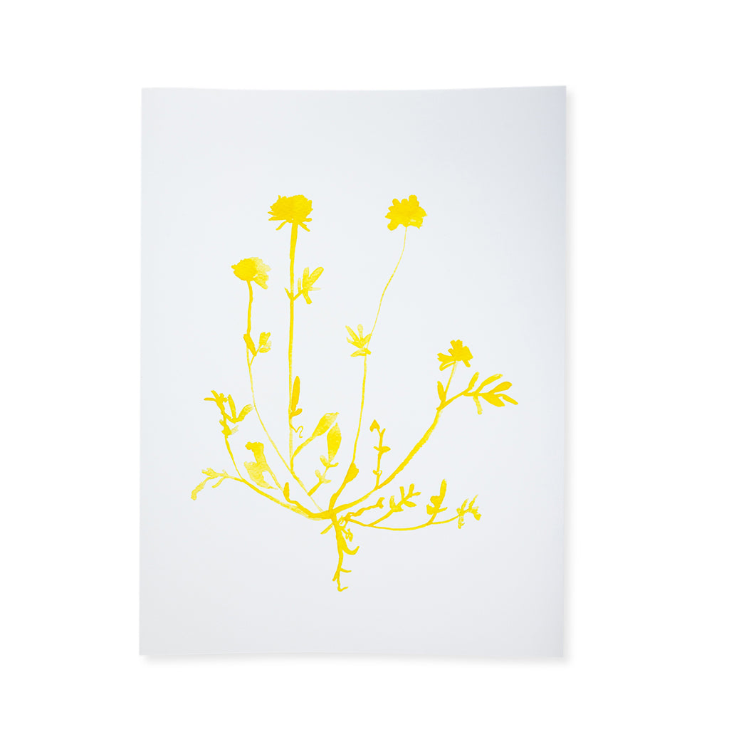 Botanical Print - Yellow - Furbish Studio