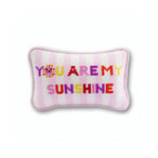 You Are My Sunshine Mini Needlepoint Pillow - Furbish Studio