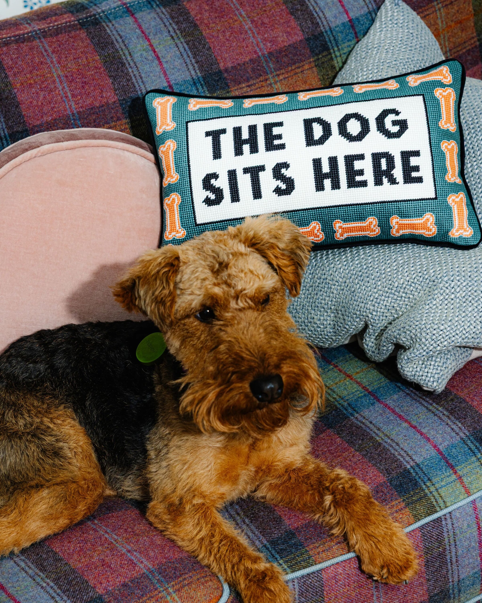 Dog Sits Here Needlepoint Pillow - Furbish Studio